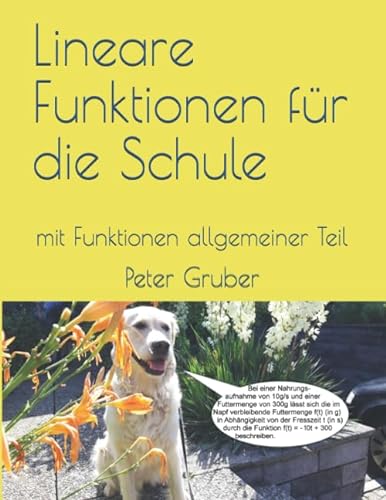 Lineare Funktionen für die Schule: mit Funktionen allgemeiner Teil von Independently published